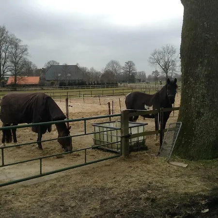 Corduif Holiday home Apeldoorn